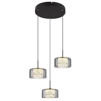Globo - LED pendel 3xLED/8W/230V