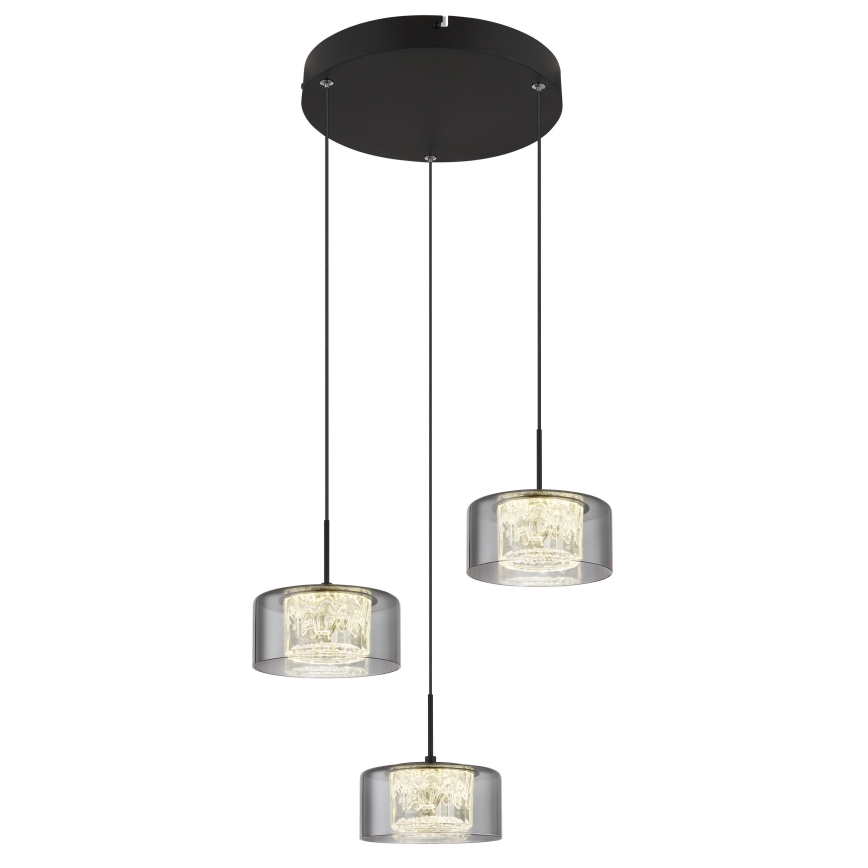 Globo - LED pendel 3xLED/8W/230V