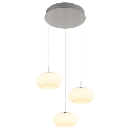Globo - LED pendel 3xLED/6W/230V