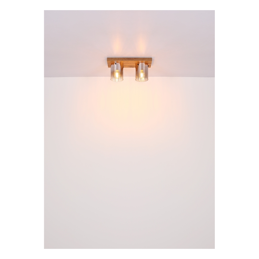 Globo - loftlampe 2xE27/40W/230V