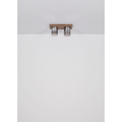 Globo - loftlampe 2xE27/40W/230V