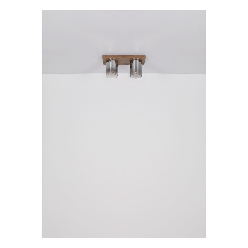 Globo - loftlampe 2xE27/40W/230V