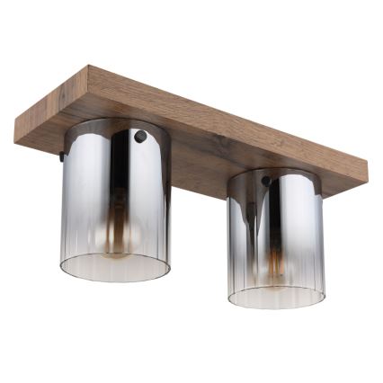 Globo - loftlampe 2xE27/40W/230V