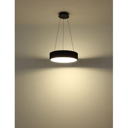 Globo - LED-pendel på wire LED/45W/230V 2700/4000/6000K Ø 46 cm sort