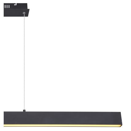 Globo - LED dæmpbar pendel på wire LED/40W/230V 3000K
