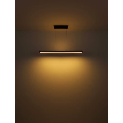Globo - Dæmpbar LED-pendel med berøringsbetjening på kabel LED/24W/230V + LED/3W 3000K brun