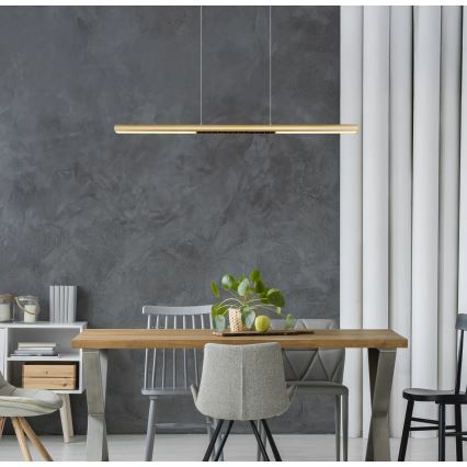 Globo - LED-pendel på wire LED/24W/230V 3000K