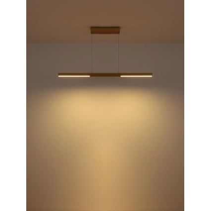 Globo - LED-pendel på wire LED/24W/230V 3000K
