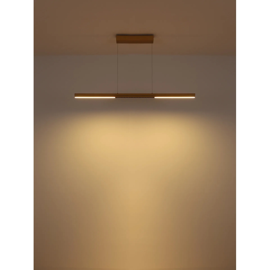 Globo - LED-pendel på wire LED/24W/230V 3000K