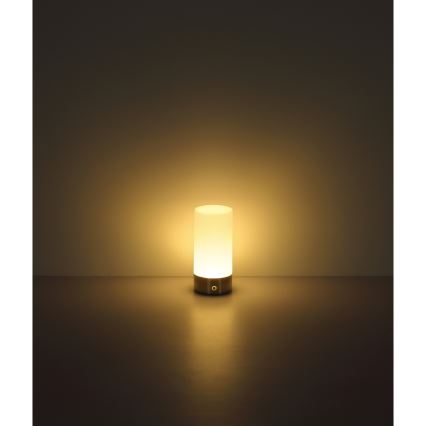 Globo - Udendørs LED bordlampe m. RGBW-farver og touch-funktion dæmpbar LED/1,8W/5V 1500 mAh IP44 mat krom