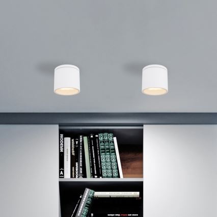 Globo - Udendørs loftlampe 1xGX53/11W/230V IP44