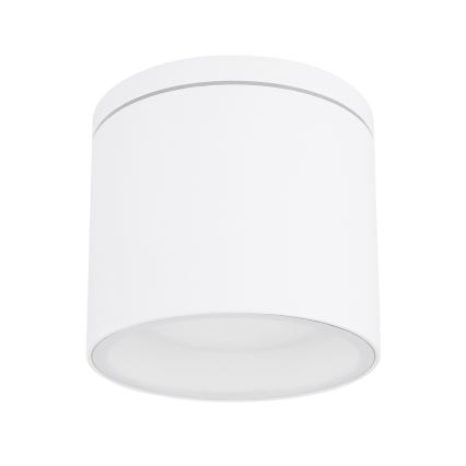 Globo - Udendørs loftlampe 1xGX53/11W/230V IP44