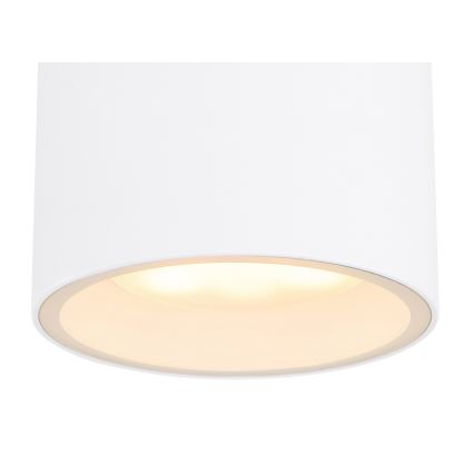 Globo - Udendørs loftlampe 1xGX53/11W/230V IP44