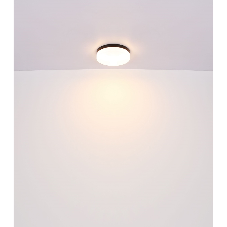 Globo - Badeværelseslampe 2xE27/60W/230V diameter 24 cm IP44