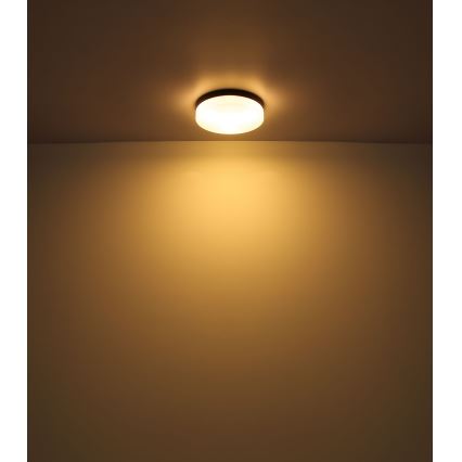 Globo - Badeværelseslampe 3xE27/60W/230V diameter 30 cm IP44