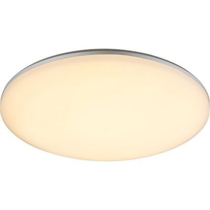Globo - LED udendørs loftlampe LED/24W/230V IP54