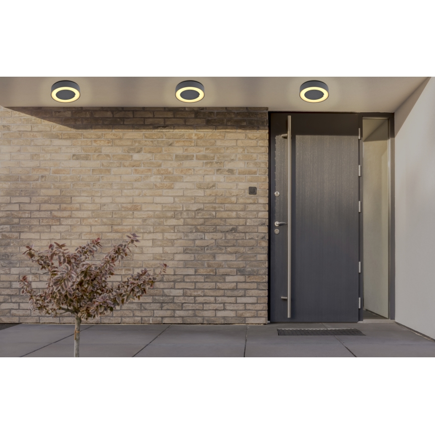 Globo - Udendørs LED loftlampe LED/12W/230V IP54