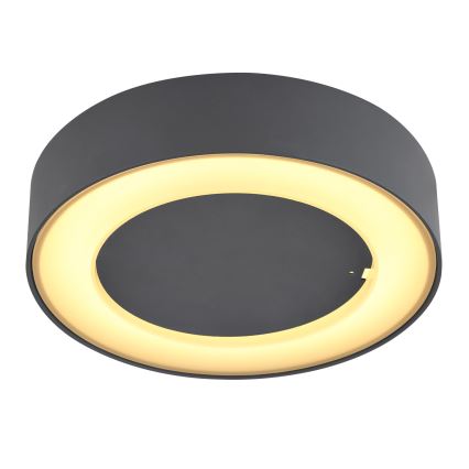 Globo - Udendørs LED loftlampe LED/12W/230V IP54
