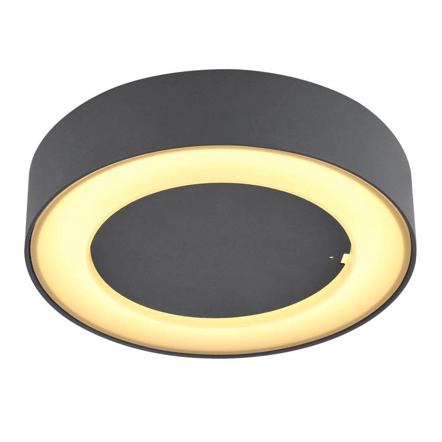 Globo - Udendørs LED loftlampe LED/12W/230V IP54