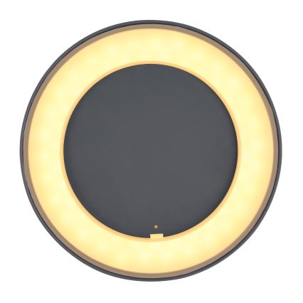 Globo - Udendørs LED loftlampe LED/12W/230V IP54