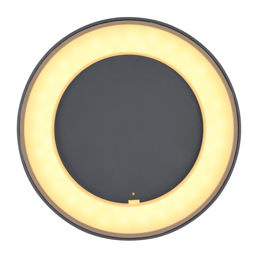 Globo - Udendørs LED loftlampe LED/12W/230V IP54