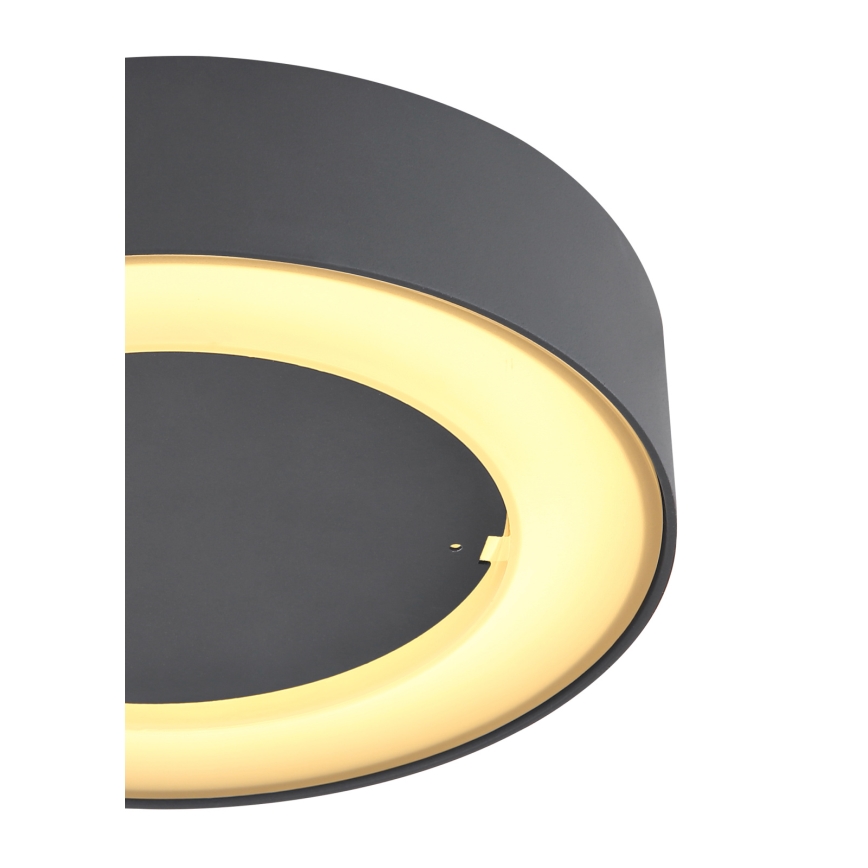 Globo - Udendørs LED loftlampe LED/12W/230V IP54
