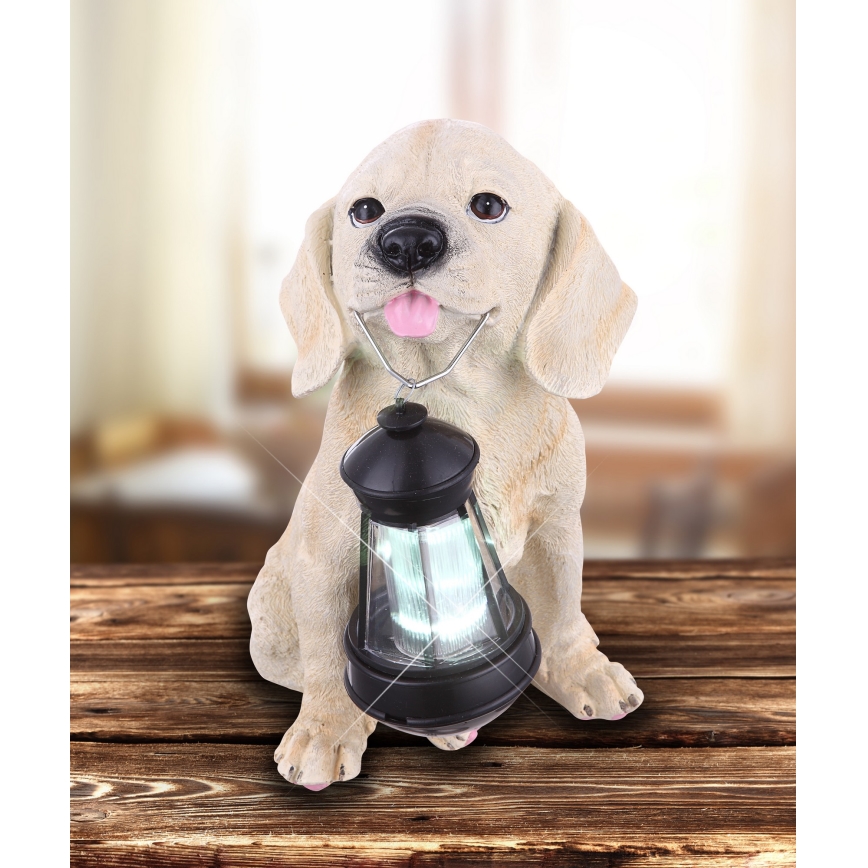 Globo - LED solcellelampe LED/0,06W/3V hund IP44 600 mAh