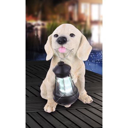 Globo - LED solcellelampe LED/0,06W/3V hund IP44 600 mAh
