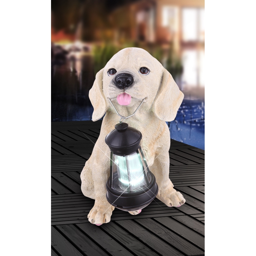 Globo - LED solcellelampe LED/0,06W/3V hund IP44 600 mAh