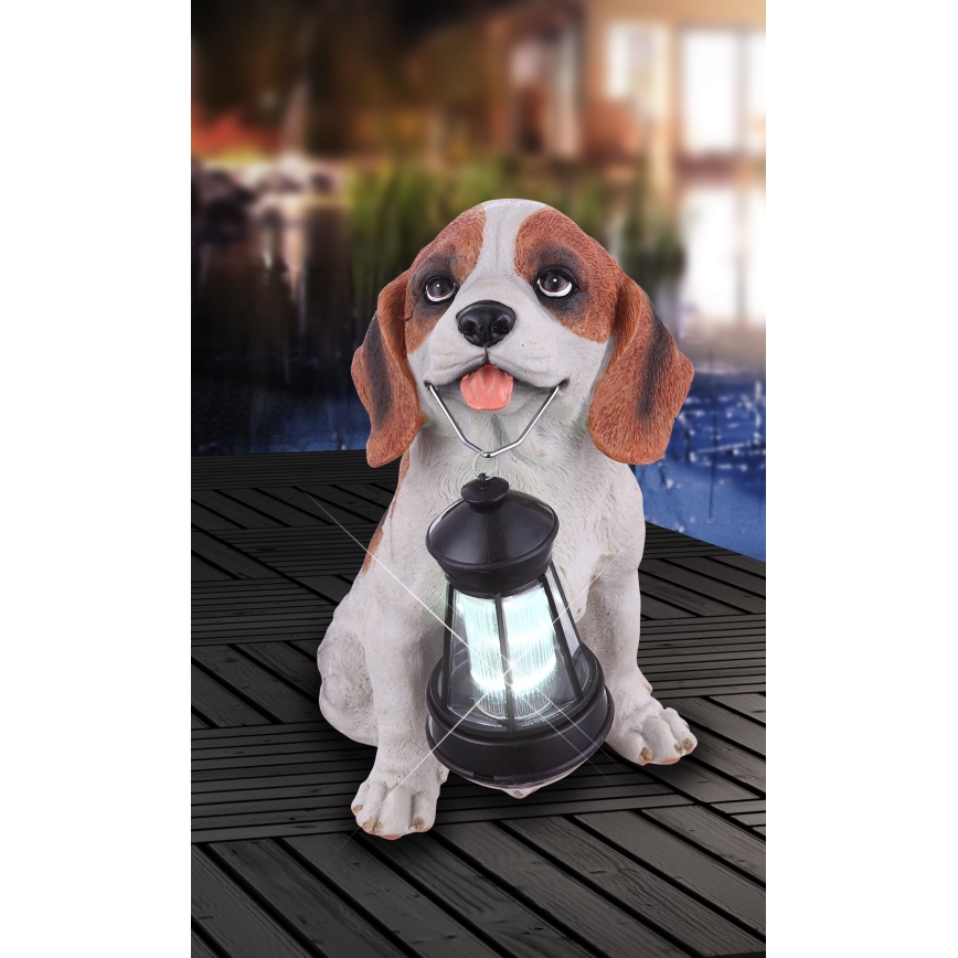 Globo - LED solcellelampe LED/0,06W/3V IP44 600 mAh