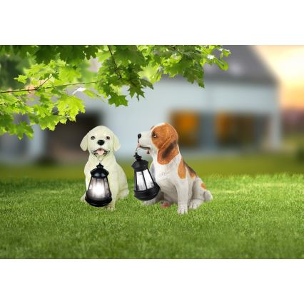 Globo - LED solcellelampe LED/0,06W/3V IP44 600 mAh