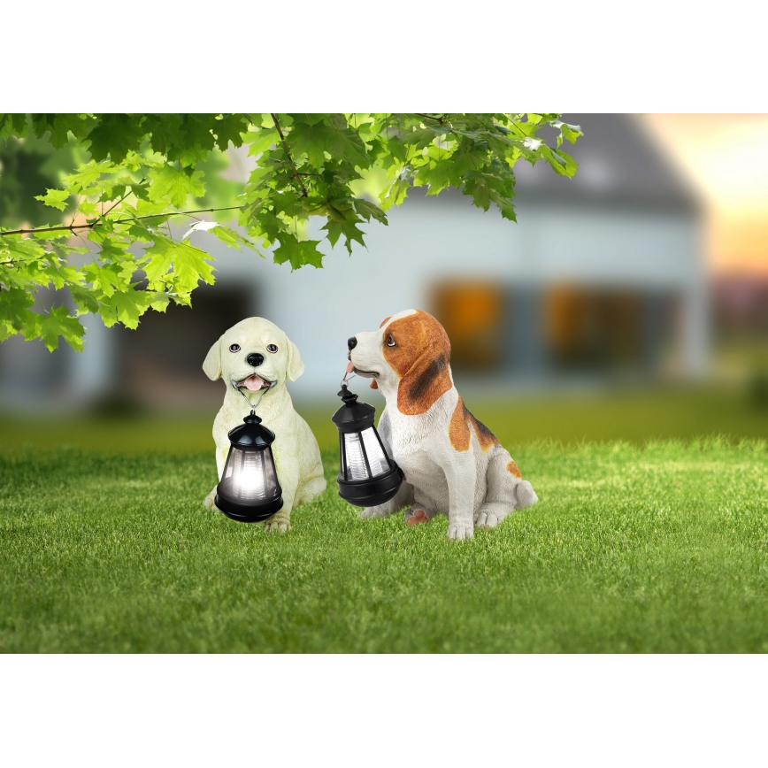 Globo - LED solcellelampe LED/0,06W/3V IP44 600 mAh