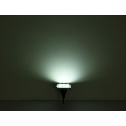 Globo - SÆT med 2x LED Solcellelampe LED/0,8W/1,2V IP44 300 mAh