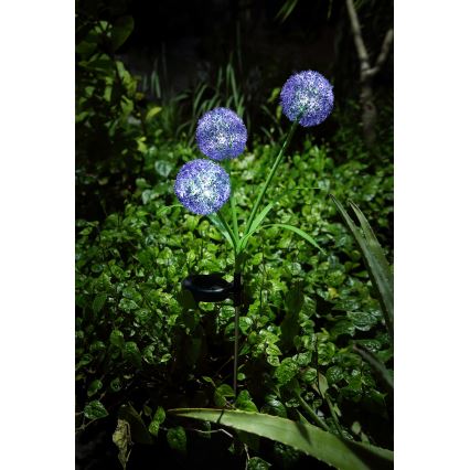 Globo - LED solcellelampe 3xLED/0,06W/3V 5000K IP44 lilla