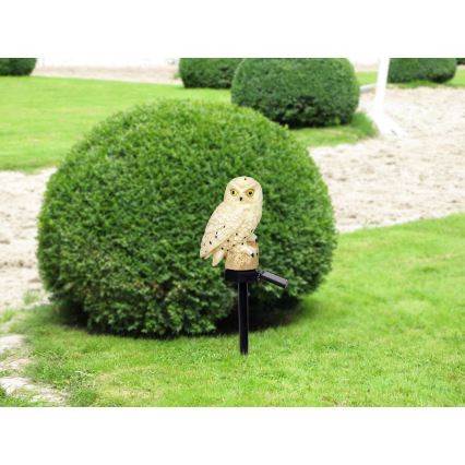 Globo - LED solcellelampe LED/0,06W/3V IP44 ugle