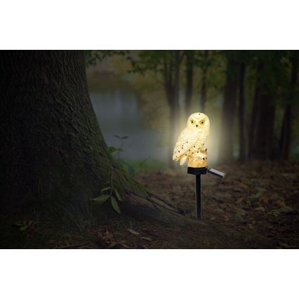 Globo - LED solcellelampe LED/0,06W/3V IP44 ugle