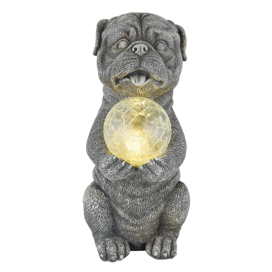 Globo - LED solardekoration LED/0,02W/3V IP44 300 mAh hund
