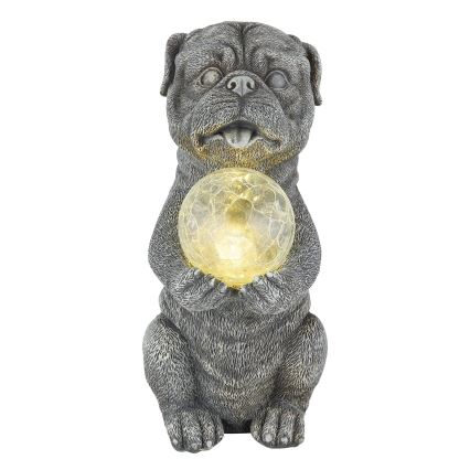 Globo - Soldrevet LED dekoration LED/0,02W/3V IP44 hund