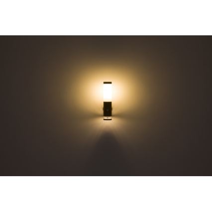 Globo - Udendørs væglampe 1xE27/15W/230V IP44