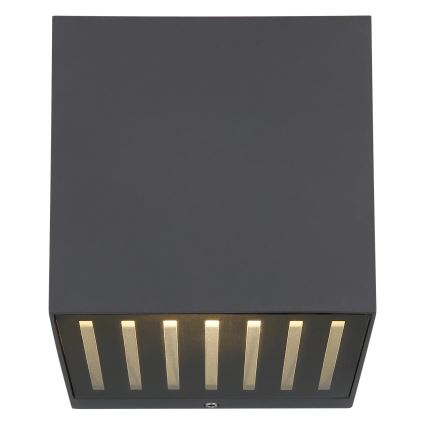 Globo - LED udendørs væglampe LED/6W/230V IP54 antracit