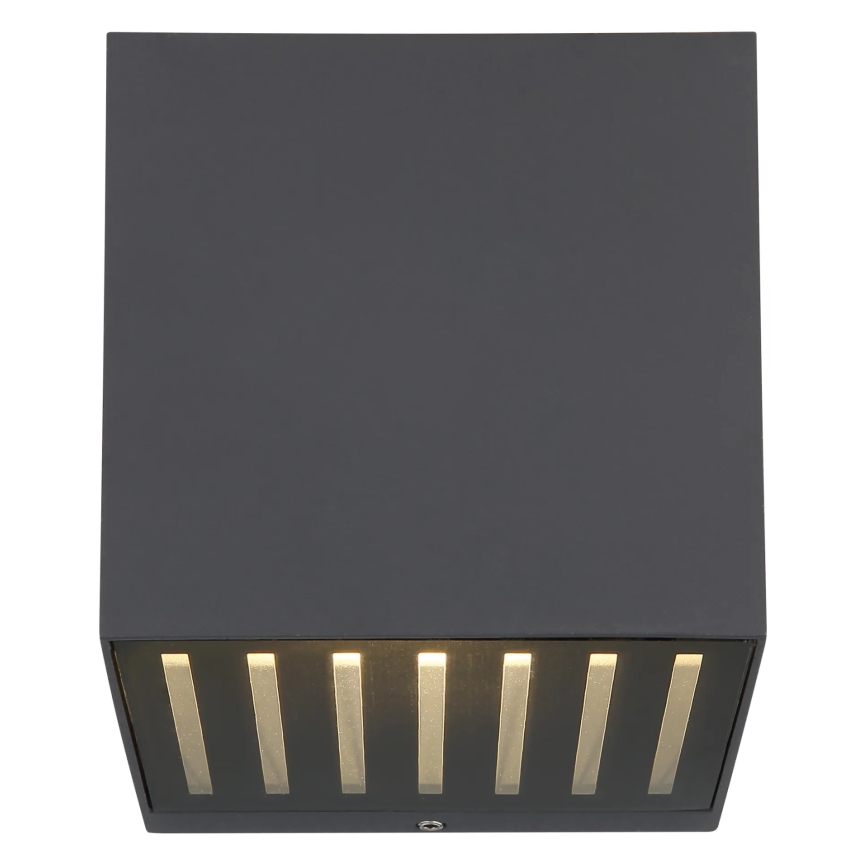 Globo - LED udendørs væglampe LED/6W/230V IP54 antracit