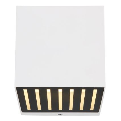 Globo - LED udendørs væglampe LED/6W/230V IP54 hvid