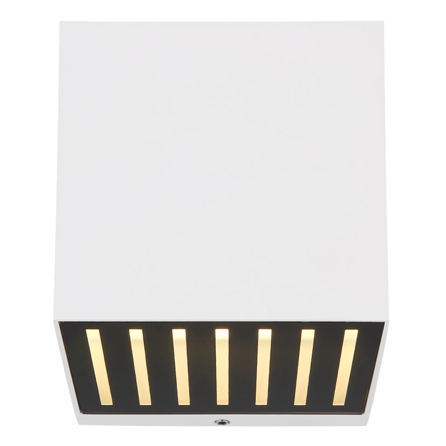Globo - LED udendørs væglampe LED/6W/230V IP54 hvid