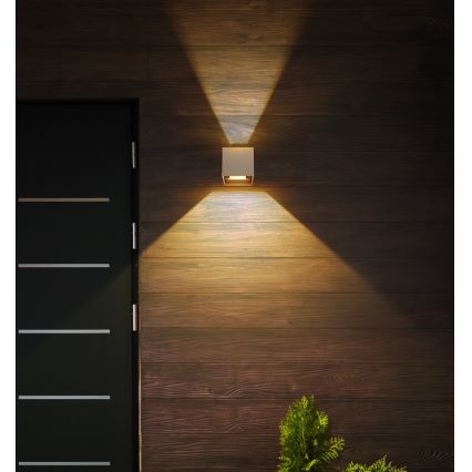 Globo - LED udendørs væglampe 2xLED/3W/230V IP54