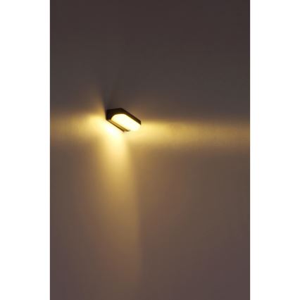 Globo - Udendørs LED væglampe LED/10W/230V IP54