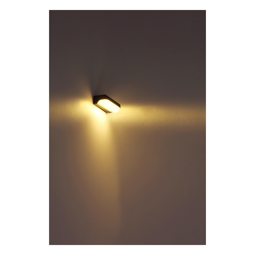 Globo - Udendørs LED væglampe LED/10W/230V IP54