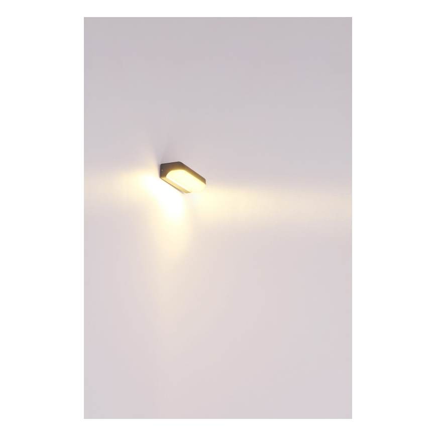 Globo - Udendørs LED væglampe LED/10W/230V IP54