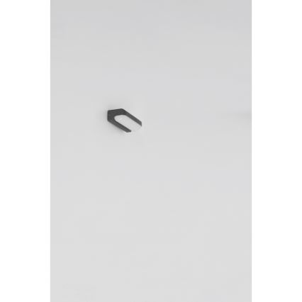 Globo - Udendørs LED væglampe LED/10W/230V IP54