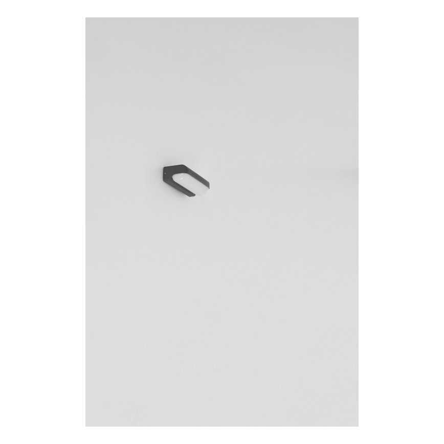 Globo - Udendørs LED væglampe LED/10W/230V IP54