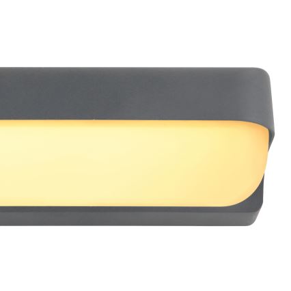 Globo - Udendørs LED væglampe LED/10W/230V IP54